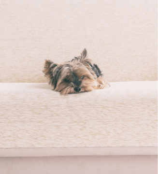 img-collection-smart-solutions