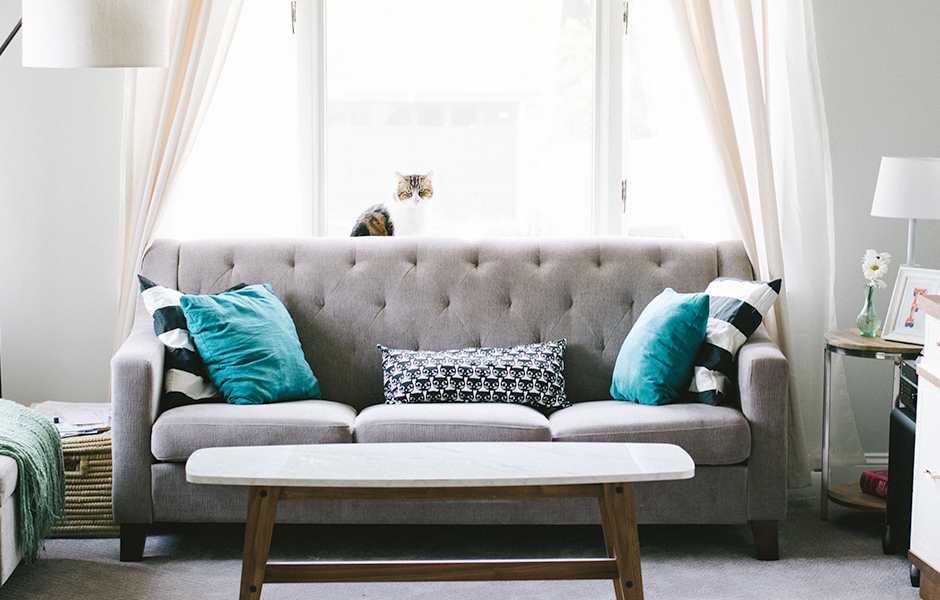 Mid-century modern living room