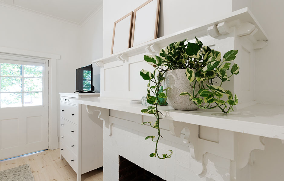 Fireplace mantle with plant decor