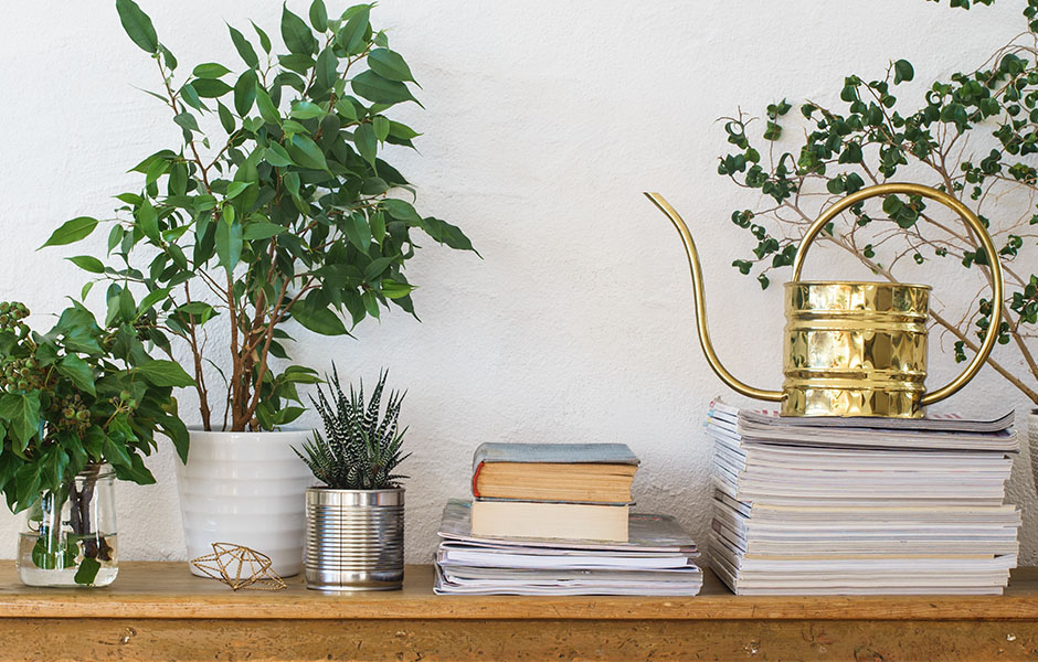 Houseplants, books, pile of journals and watering can arranged on the wooden shelf.