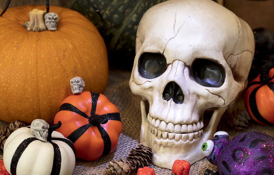 Halloween skull and pumpkins