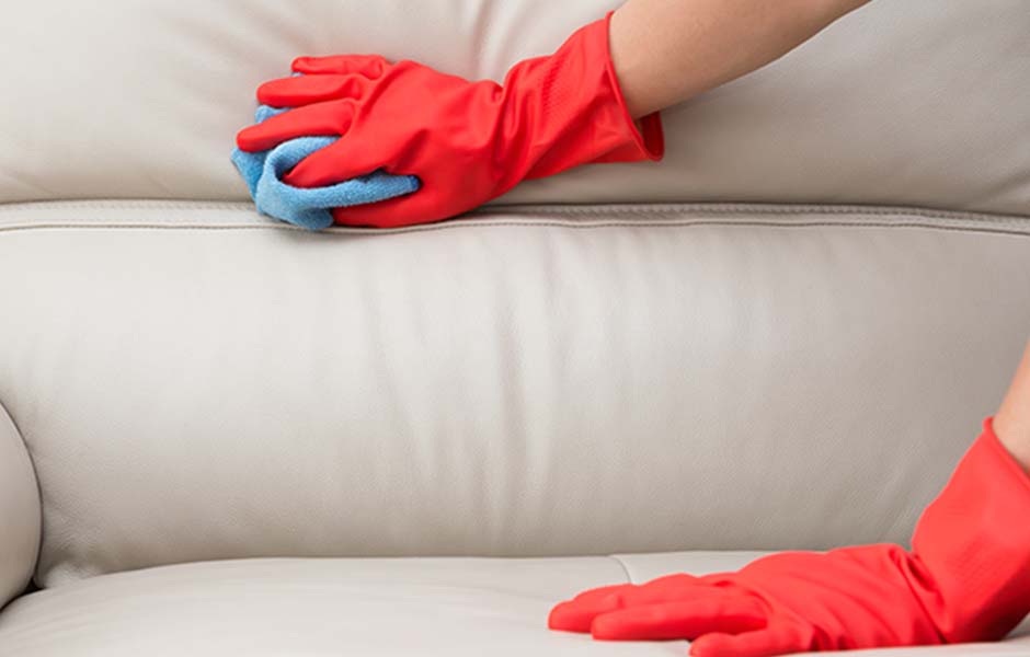 Person cleaning sofa stain